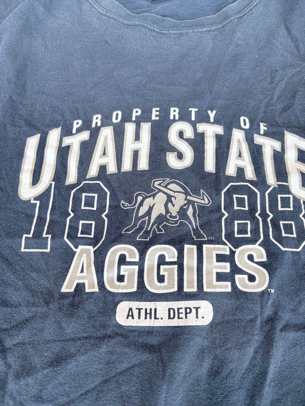Y2K Utah State Aggies Graphic Tee