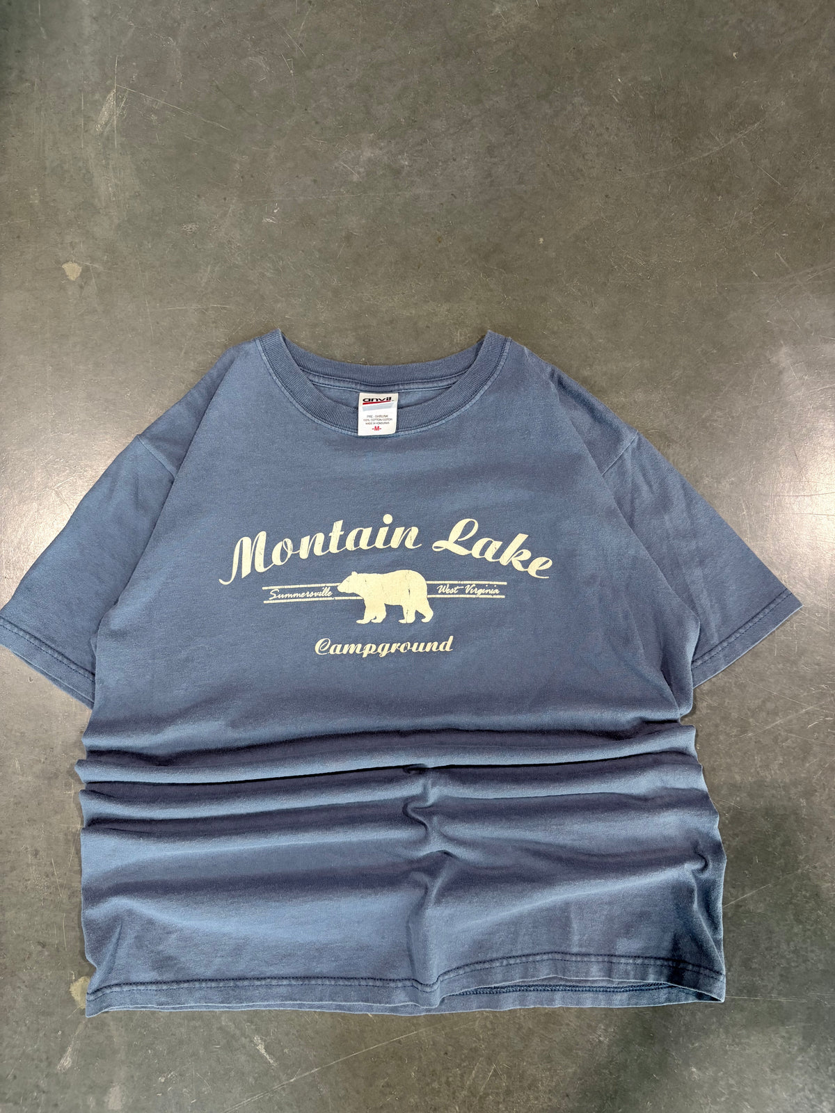 Vintage Y2K Mountain Lake Bear Graphic Tee