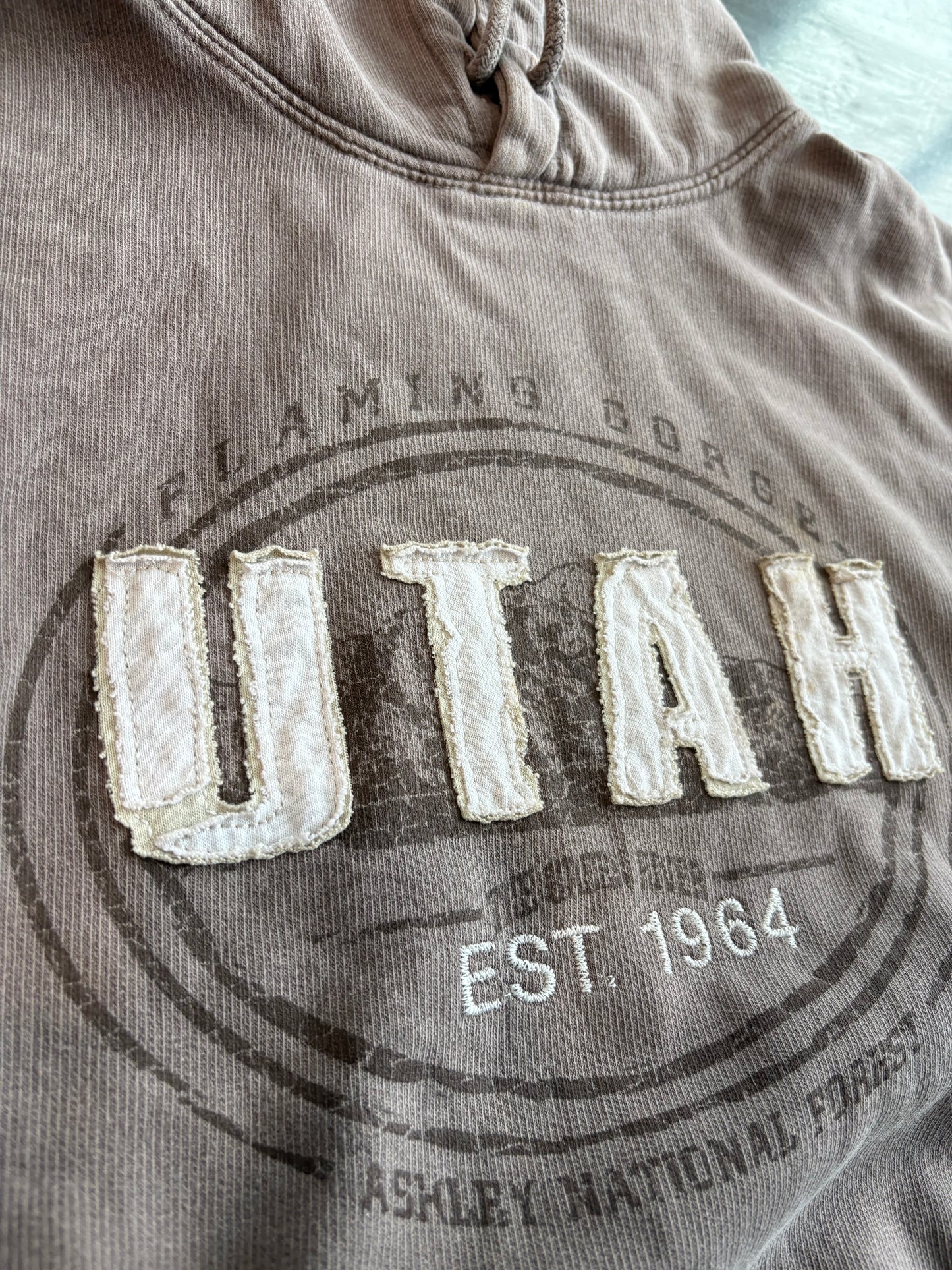 Vintage Utah Embroidered Graphic Hoodie
