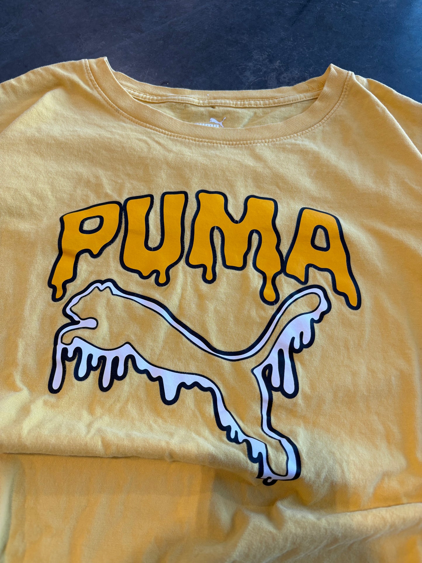 Puma Graphic Tee