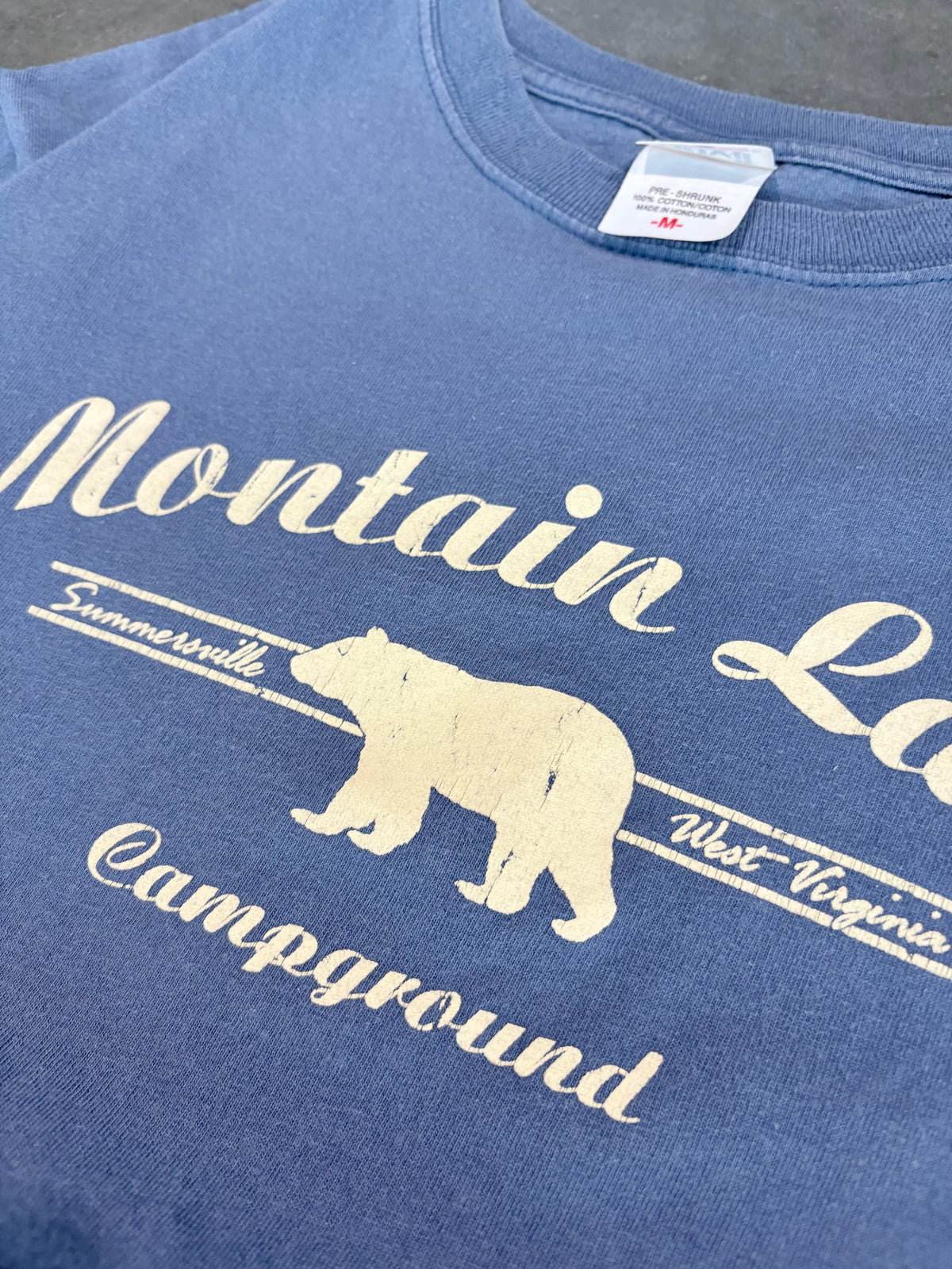 Vintage Y2K Mountain Lake Bear Graphic Tee