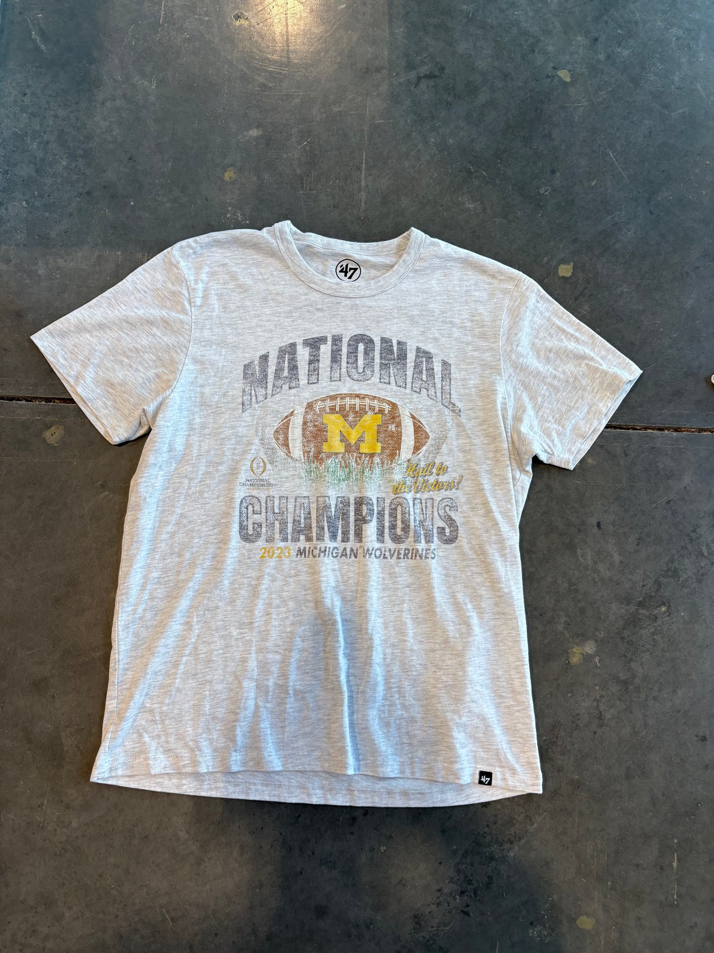 Michigan Football 2023 National Champions Graphic Tee