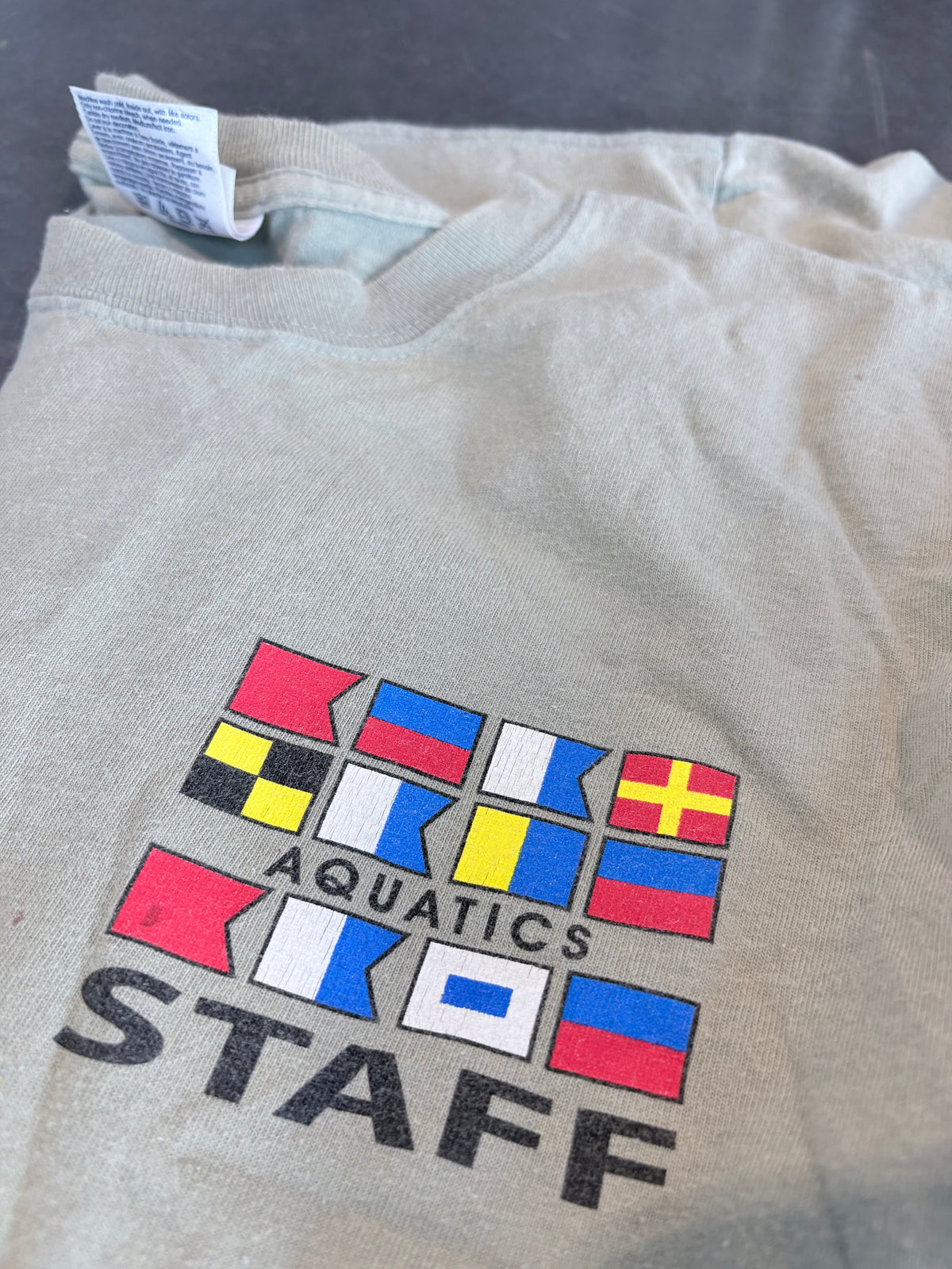 Y2K Bear Lake Aquatics Team Graphic Tee