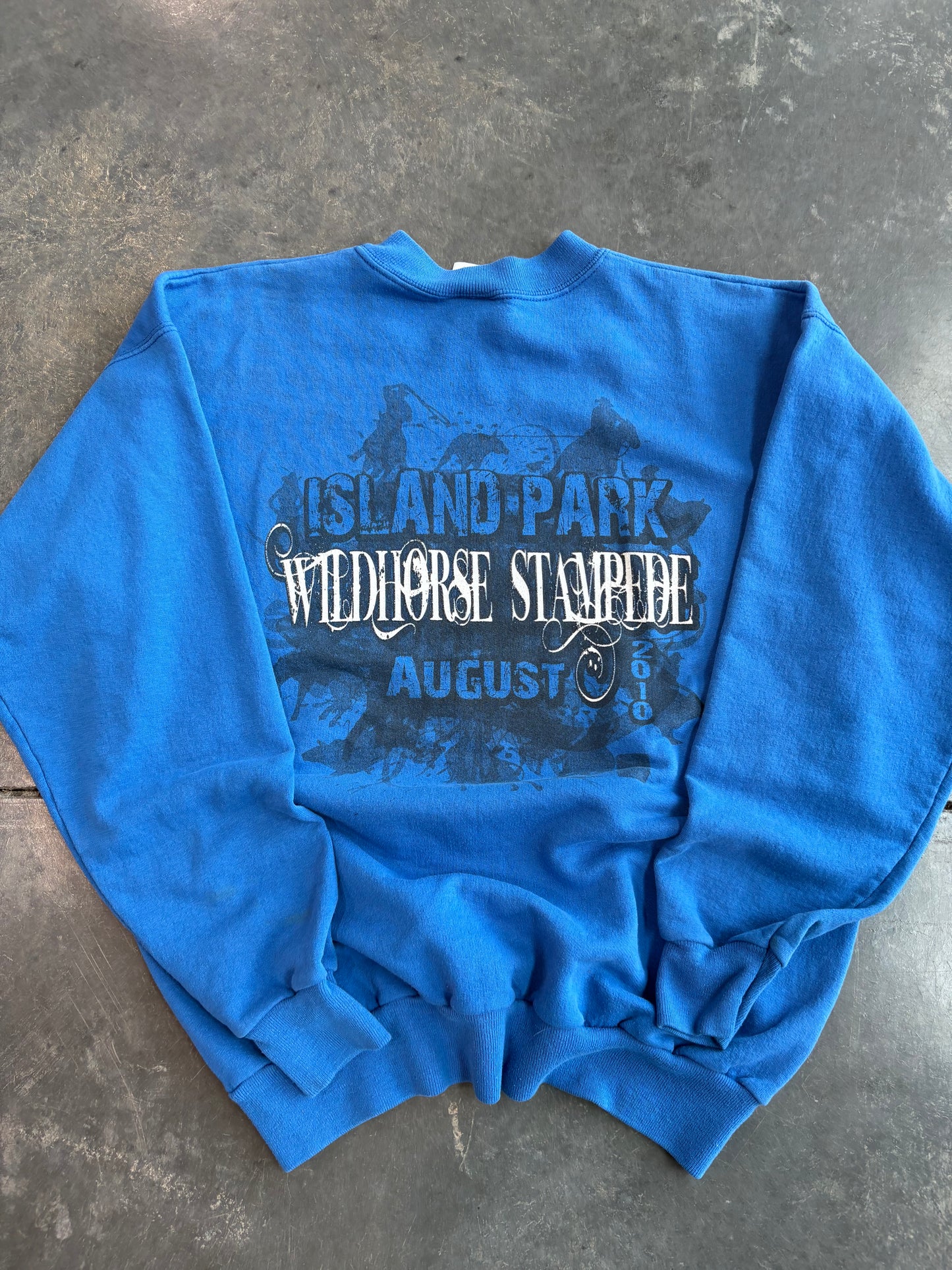 Wild horse Stampede Graphic Sweater