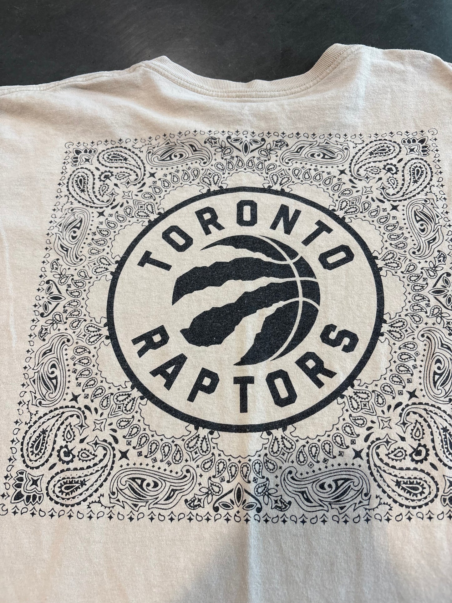 Toronto Raptors Graphic Tee