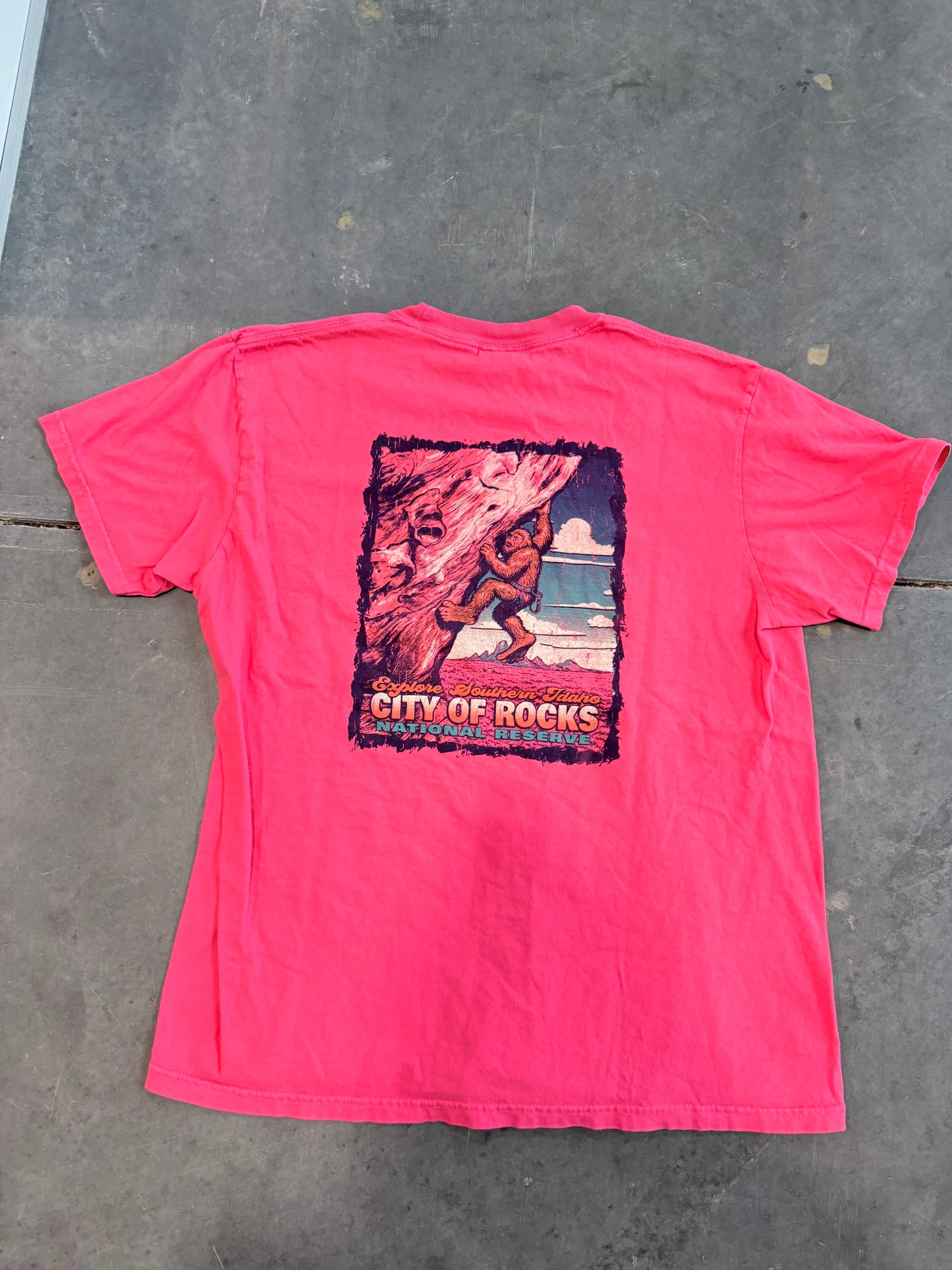 City of Rocks Graphic Tee