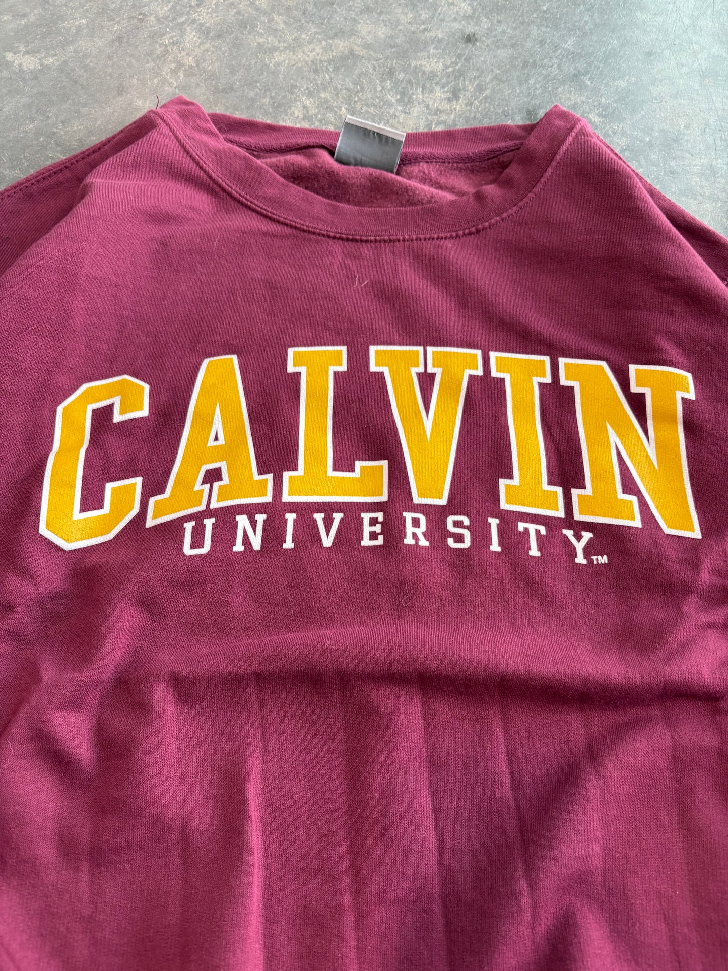 Calvin University Sweater
