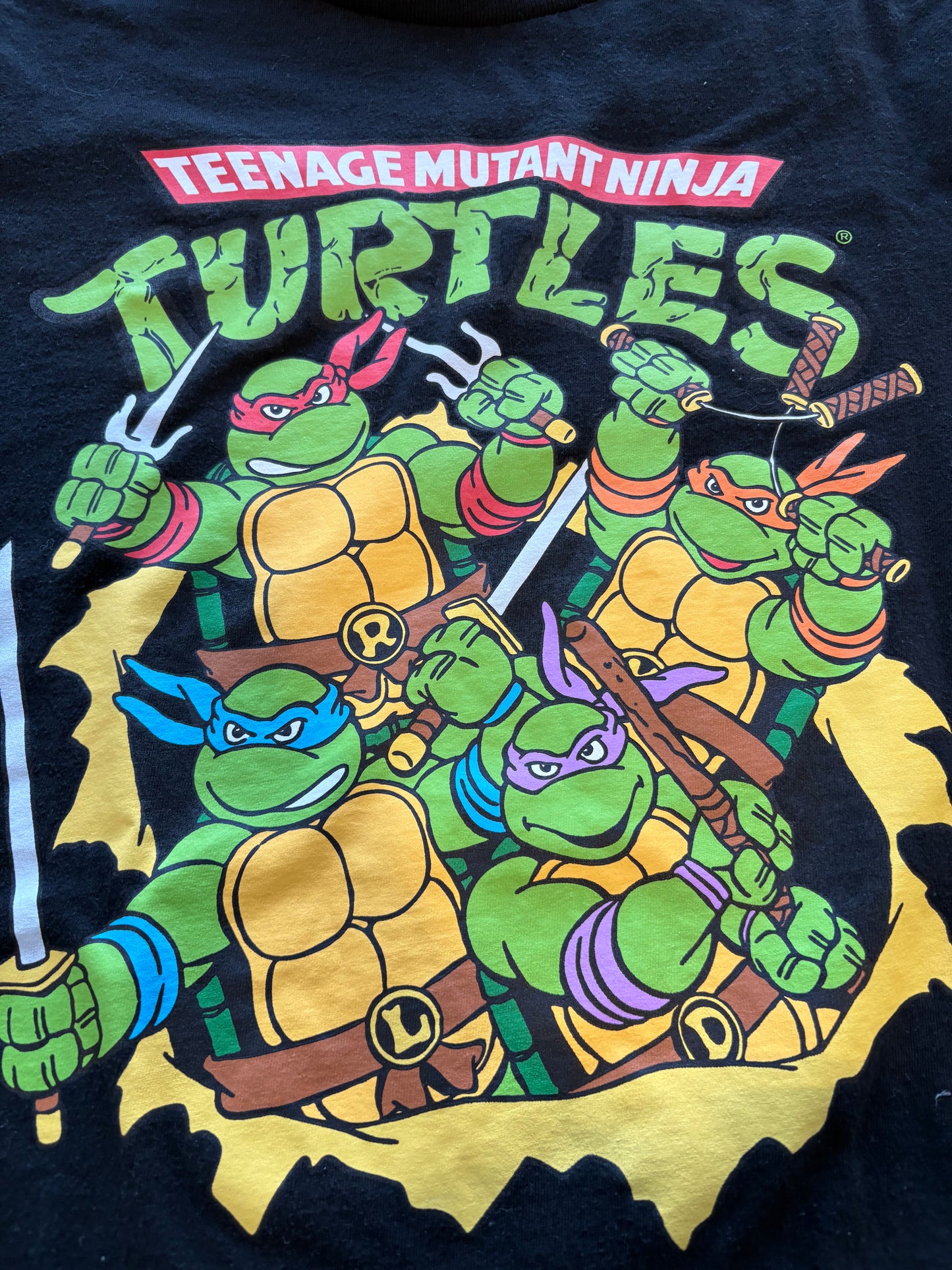 Ninja Turtle Graphic Tee