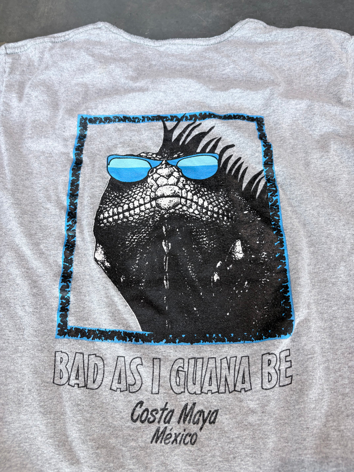 Y2K Costa Maya Gecko Graphic Tee