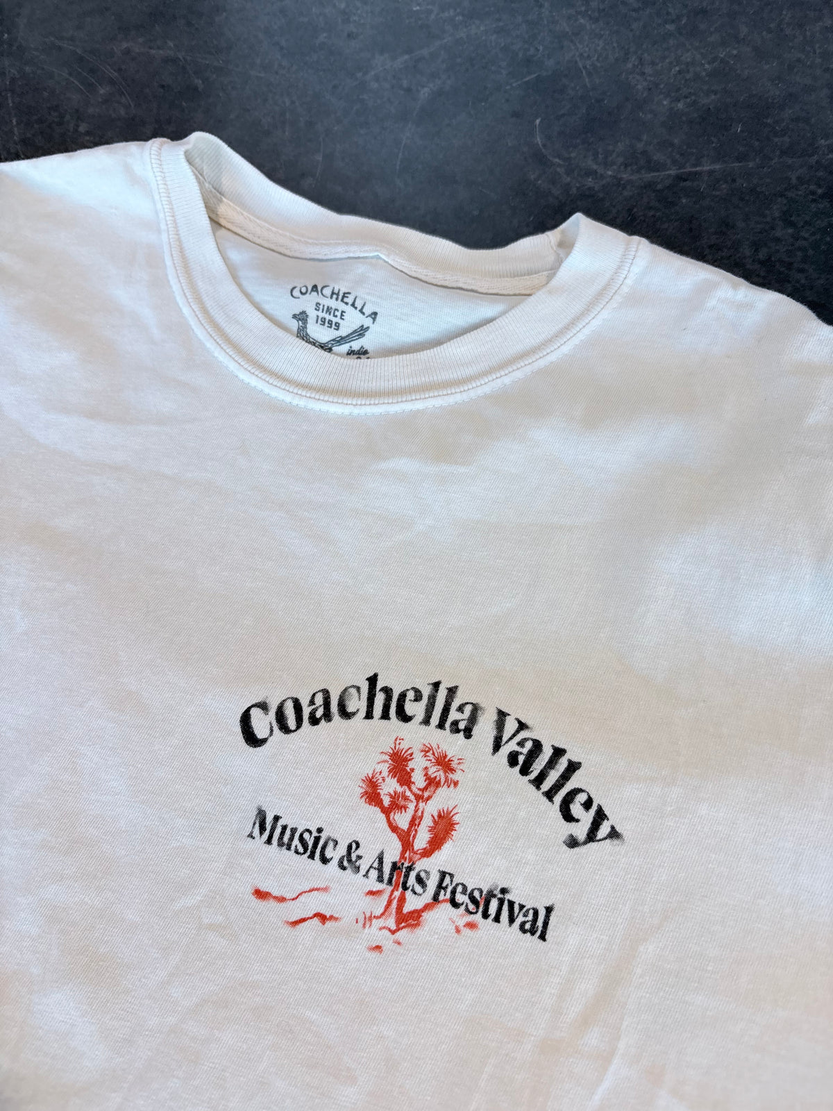 Coachella Valley Cropped Graphic Tee